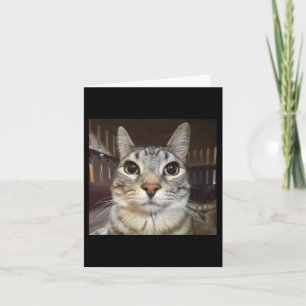 Carte Mème de chat à mât à mâcher