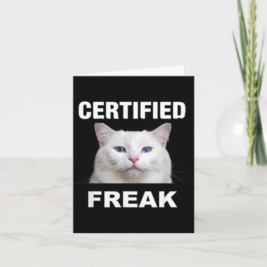 Carte Mème de chat certifié drôle chat blanc (Devant)