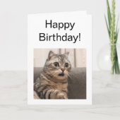 Carte Mème de chat Shocked Card plié (Devant)
