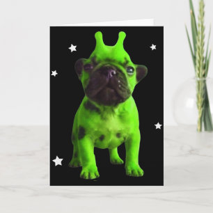 Carte Mème de chien extraterrestre Rétro Drôle de chien 