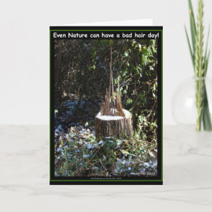 Carte Même La Nature Peut Avoir Une Mauvaise Journée Des