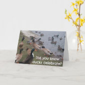 CARTE MÊME LES "CANARDS" CÉLÉBRENT VOTRE ANNIVERSAIRE (Fleur jaune)