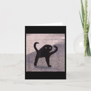 Carte Mèmes de chat maudit Chat maudit en colère comme u
