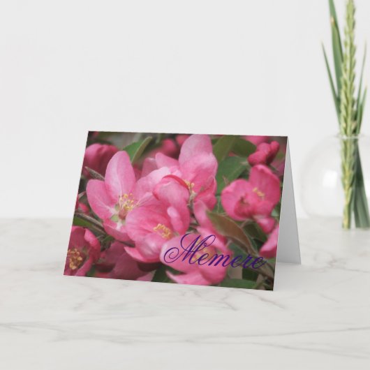 Carte mémoire (Devant)