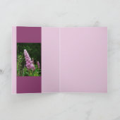 Carte Mémoire de Late Summer (Intérieur)