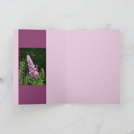 Carte Mémoire de Late Summer (Intérieur)