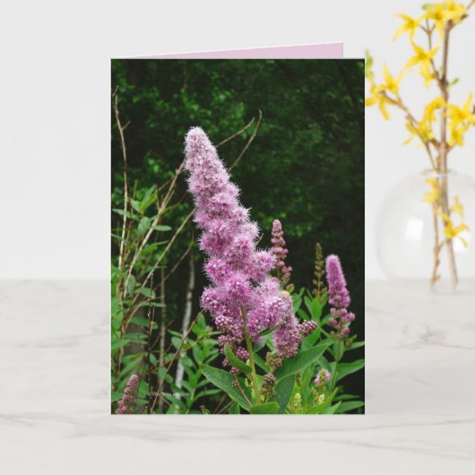 Carte Mémoire de Late Summer (Fleur jaune)