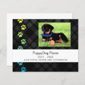 carte mémoire de perte de animal de compagnie (Devant / Derrière)