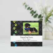 carte mémoire de perte de animal de compagnie (Debout devant)