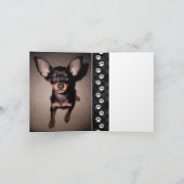 carte mémoire de perte des animaux de compagnie (Intérieur)