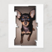 carte mémorial de perte de patte oddRex (Dos)