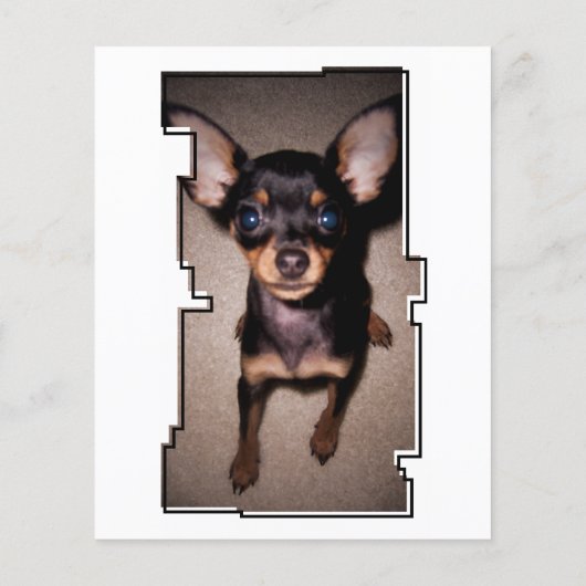 carte mémorial de perte de patte oddRex (Dos)