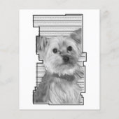 carte mémorial de perte de patte oddRex (Dos)