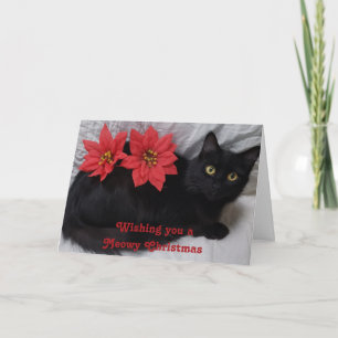 Carte Meowny Noël Chat noir Rouge Poinsettias Photo