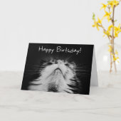 Carte Meowvelt Anniversaire (Fleur jaune)