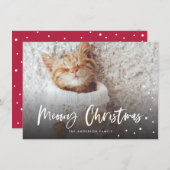 Carte Meowy Noël Chat à neige | Photo pour animaux (Devant / Derrière)