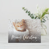Carte Meowy Noël Chat à neige | Photo pour animaux (Debout devant)