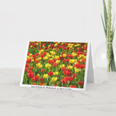 Carte Mer des Tulipes (Dos)