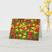 Carte Mer des Tulipes (Fleur jaune)