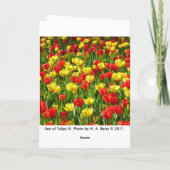 Carte Mer des Tulipes (Dos)