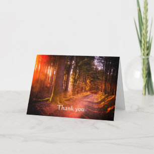 Carte Merci Belle forêt sauvage sentier coucher du solei