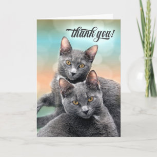 Carte Merci deux chats gris