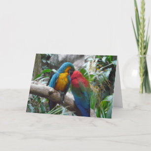 Carte Merci d'oiseaux aux perroquets macaw, note