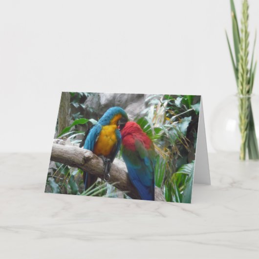 Carte Merci d'oiseaux aux perroquets macaw, note (Devant)