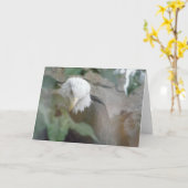 Carte Merci d'oiseaux d'aigle à tête blanche, note (Fleur jaune)
