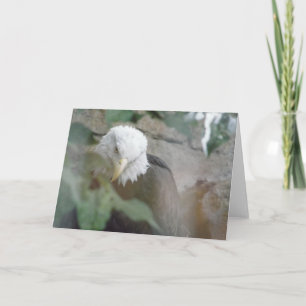 Carte Merci d'oiseaux d'aigle à tête blanche, note