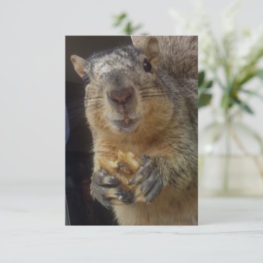 Carte - Merci écureuil (Debout devant)