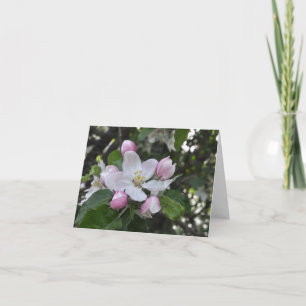 Carte Merci en fleurs d'Apple