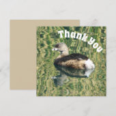 Carte Merci Grebe et réflexion Appréciation photo (Devant / Derrière)