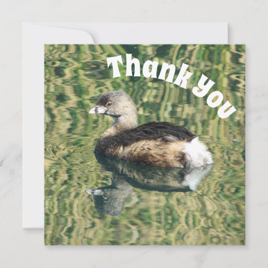 Carte Merci Grebe et réflexion Appréciation photo (Devant)