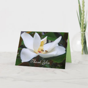 Carte Merci Magnolia et Abeilles