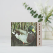 Carte Merci Mallard Duck Appréciation des oiseaux sauvag (Debout devant)