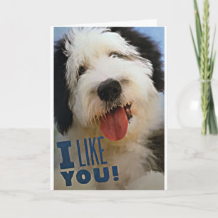 CARTE ***MERCI NOËL*** **VOUS AIMEZ** & **VOUS AIMEZ***