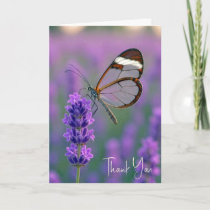 Carte Merci Papillon Glasswing Sur Lavande