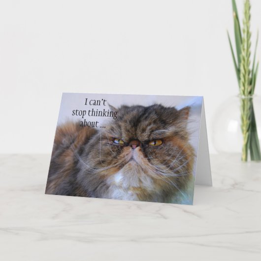 Carte Merci Persian Calico Kitty Princess (Devant)