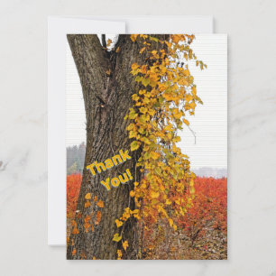 CARTE MERCI/PERSONNALISABLE/ARBRE, VIN, CHAMPS BLUEBERRY