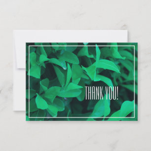 Carte Merci plat Pale Green Leaf Plante