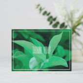 Carte Merci plat Pale Green Leaf Plante (Debout devant)