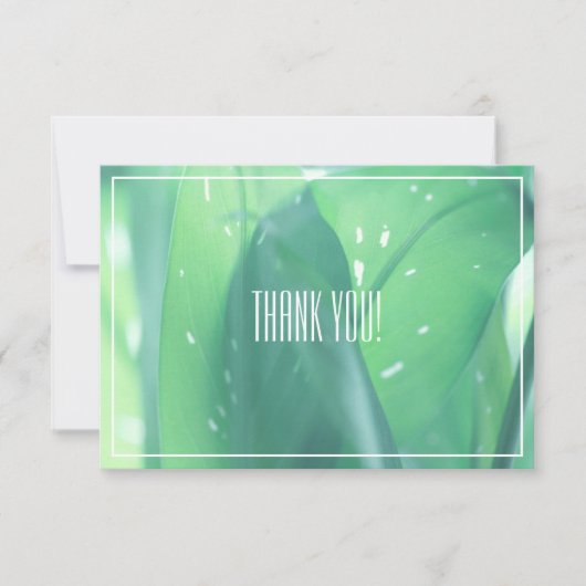 Carte Merci plat Pale Green Leaf Plante (Devant)