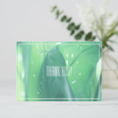 Carte Merci plat Pale Green Leaf Plante (Debout devant)