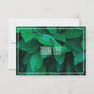Carte Merci plat Pale Green Leaf Plante