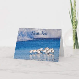 Carte Merci Sandpipers Beach Birds