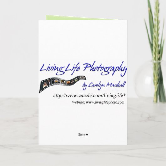 Carte Merci Waterfall (Dos)