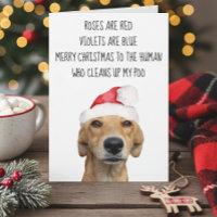 Merde Noël du chien drôle
