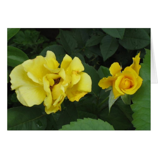 carte mère (Devant horizontal)