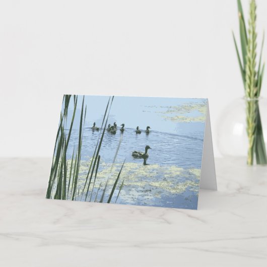 Carte Mère Canard Avec Ses Colonnes Nager Dans Un Étang (Devant)